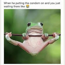 1746151143380.png