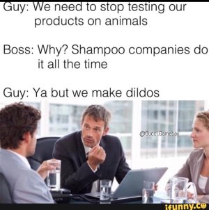529.jpg