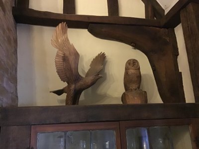 IMG_1374.jpeg