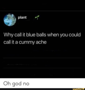 1749951217036.png