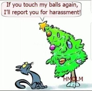 Horny Holidays - Christmas - Dont touch my balls.jpg