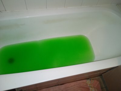 IMG_20260116_205945705_MFNR small.jpg