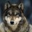 wolf82