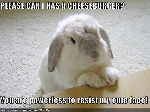 cheezburger-image-558143744